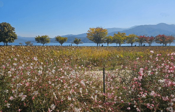 경기도 단풍명소