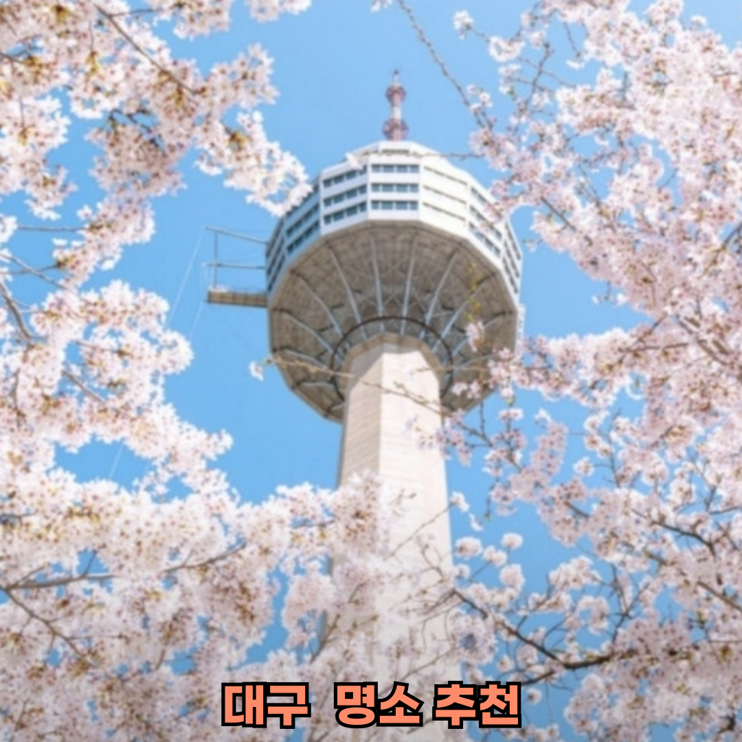 대구 근교 돗자리 봄 명소 추천