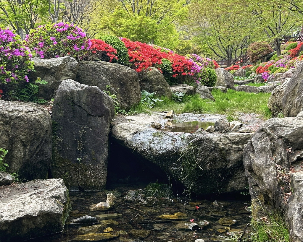 용인자연휴양림