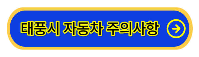 태풍시-자동차-주의사항