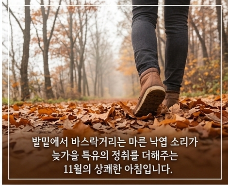 가을 아침 인사말 이미지
