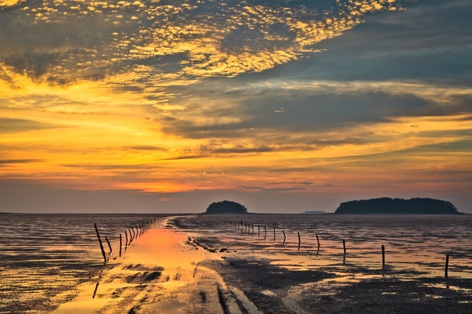 고창갯벌축제
