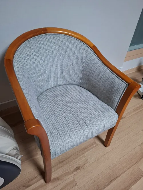 거친 감정을 추스르기 위해 휴식을 취하는 실내의 푹신한 의자 모습 (A comfortable armchair in the room where one rests to calm rough emotions)