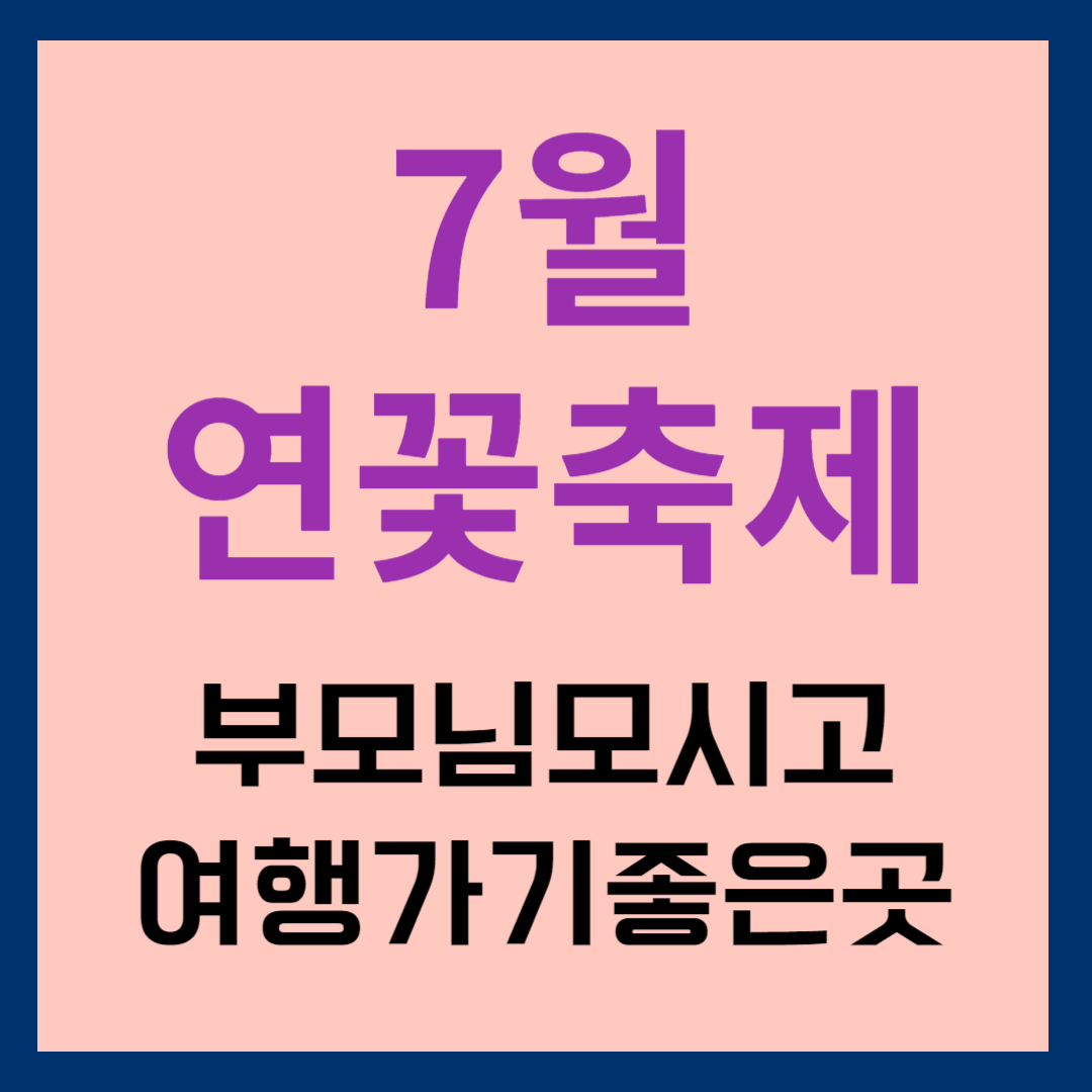7월 국내 연꽃 추천 명소! 부모님과 함께 가기 좋은 곳!