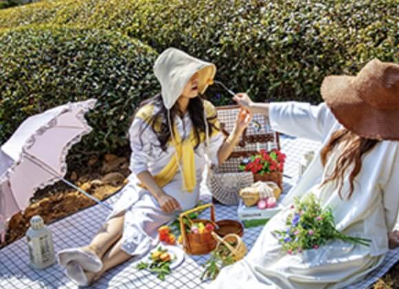 보성 다향대축제 2026