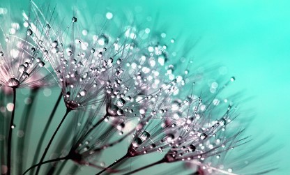 청소년지도사 자격증 취득방법