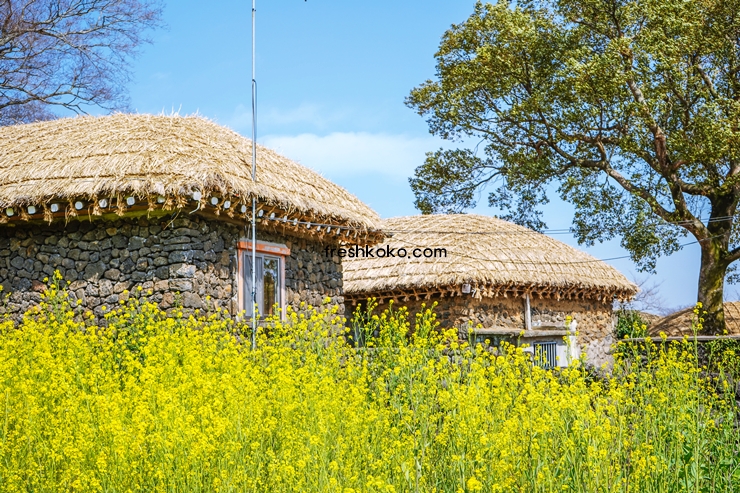 제주도 가볼만한곳 10곳