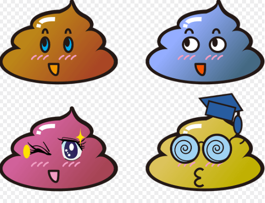 똥꿈 해몽 풀이