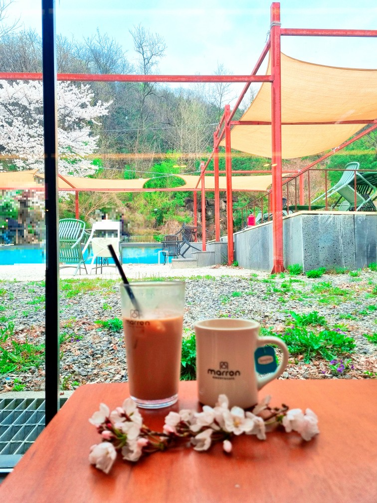 파주가볼만한 곳: 마롱리면사무소 카페, 율곡수목원 근처 정원 카페