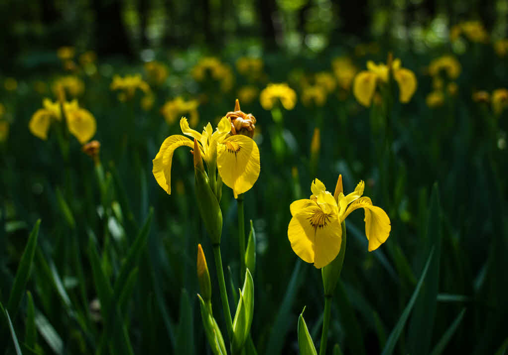 MBTI 성격 유형별 스트레스 해소법
