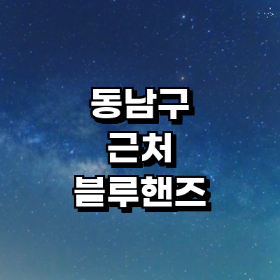 천안 동남구 블루핸즈