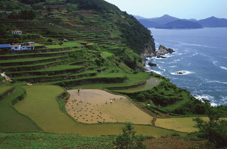 해돋이 명소 여행