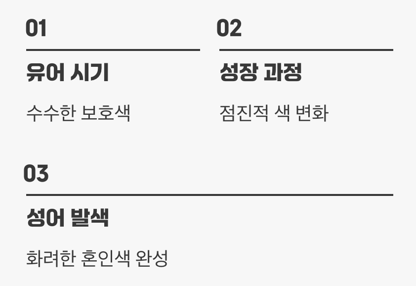 변신의 귀재&amp;#44; 성장과 변화