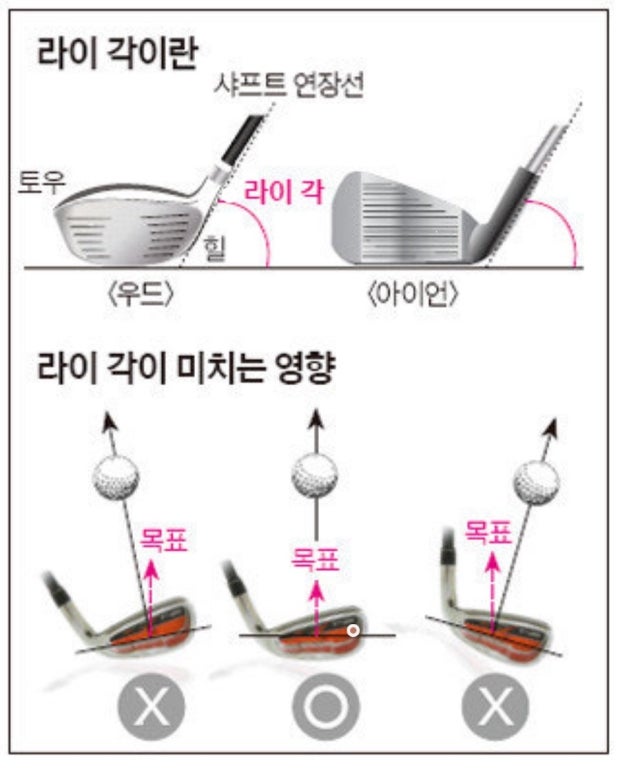 아이언의 각