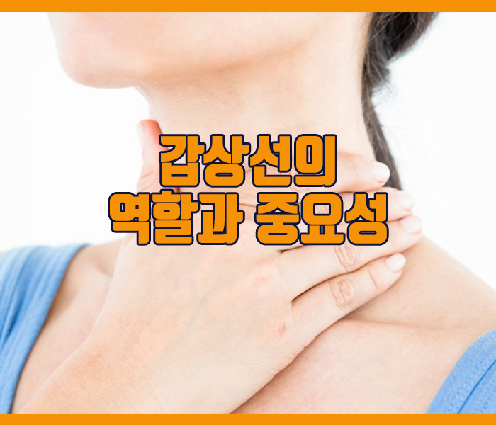 갑상선 역할과 중요성