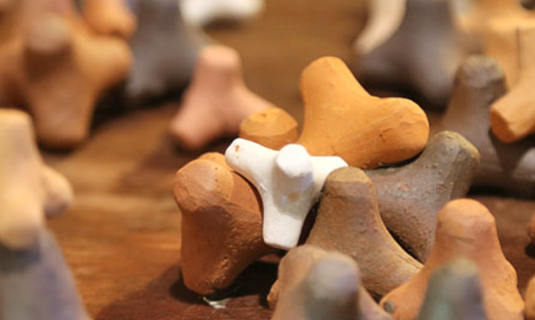 속초 테라크랩팜