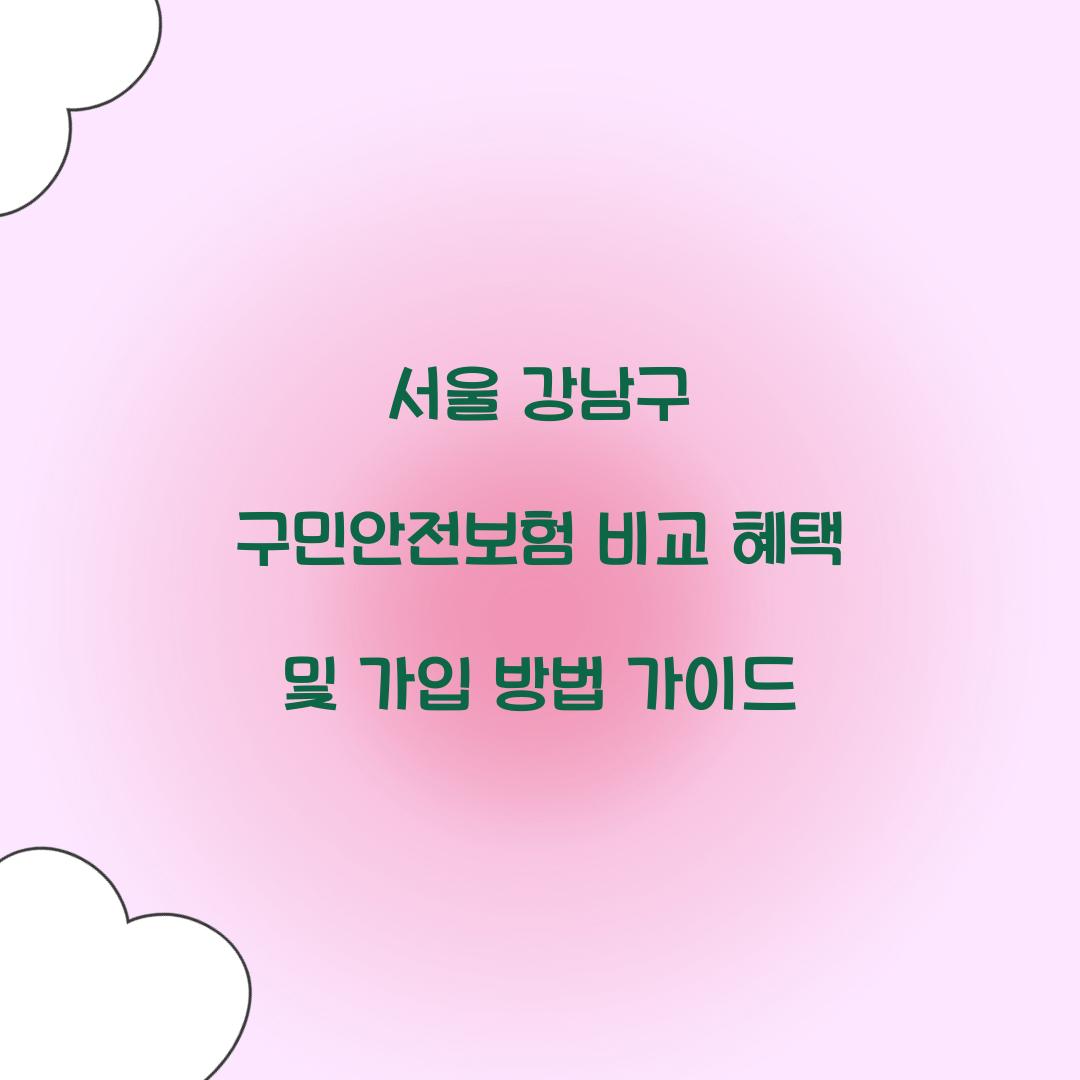 서울 강남구 구민안전보험