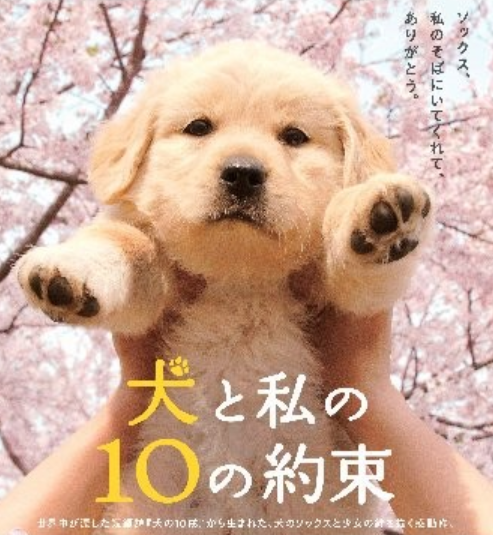 10 Promises to My Dog 포스터