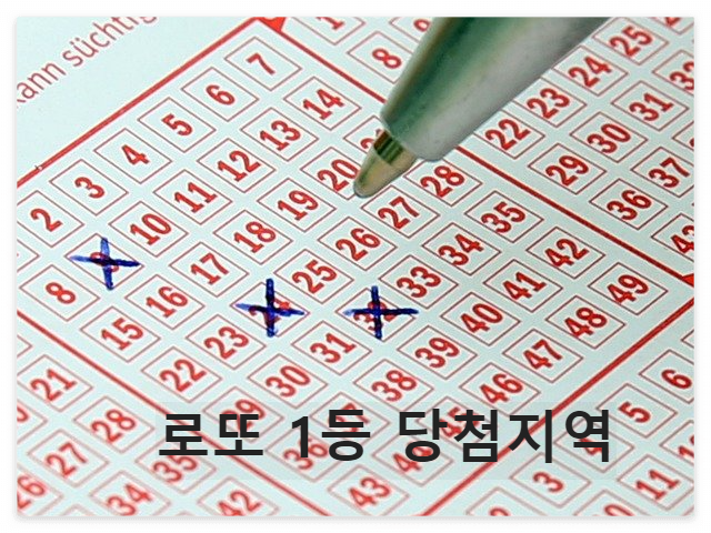 로또 번호 체크