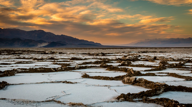 고흥의 자염장, 소금보다 짠 기억