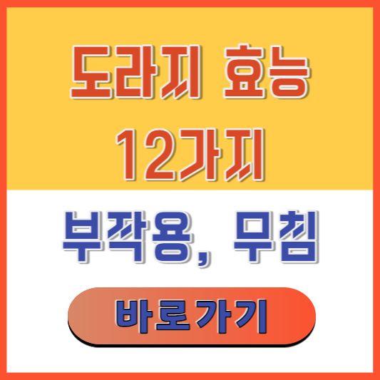 도라지-효능-12가지-부작용-무침-맛있게만드는법