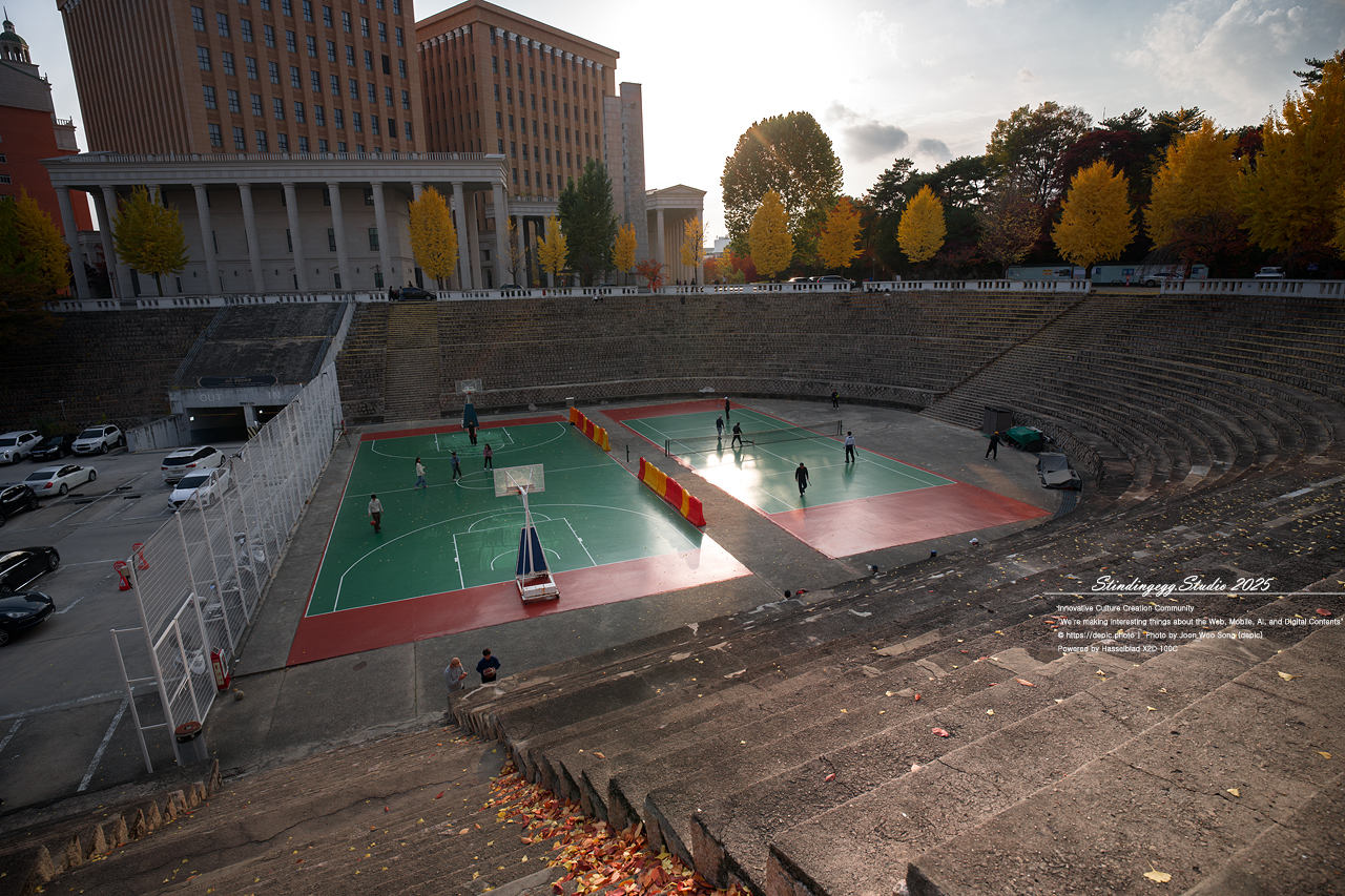 #서울 #경희대 #경희대학교 #단풍 #가을