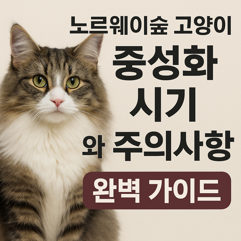 노르웨이숲 고양이