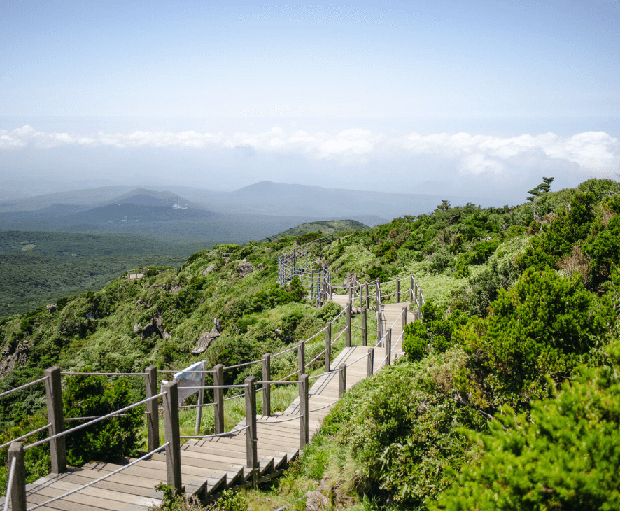 한라산 정상 가이드 및 투어 비용