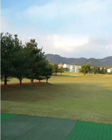 대구