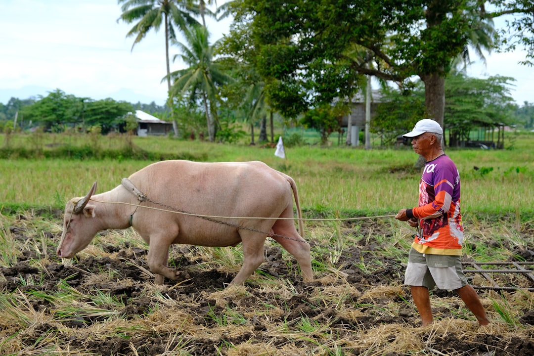 Farmers