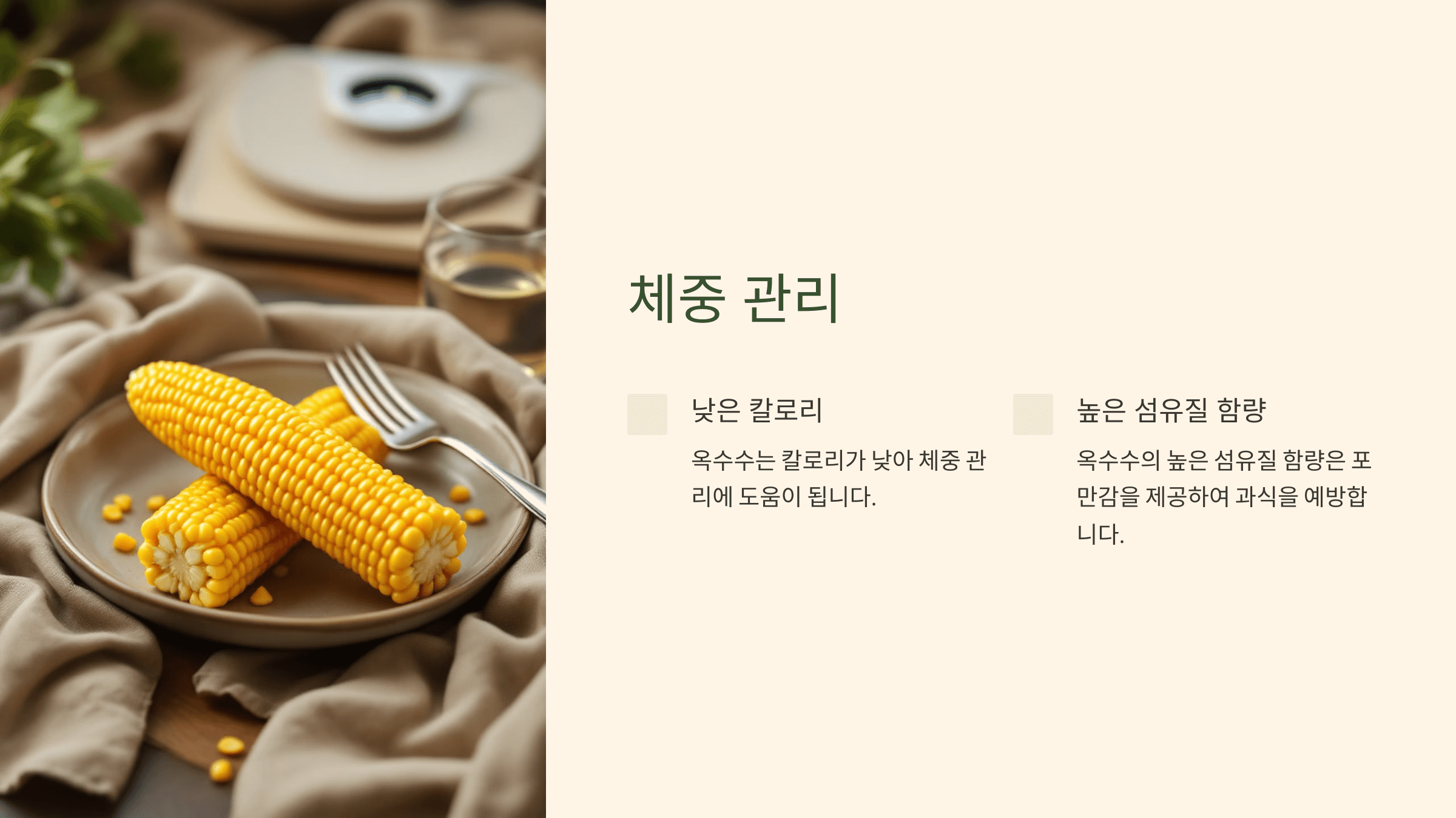 옥수수 사진입니다.