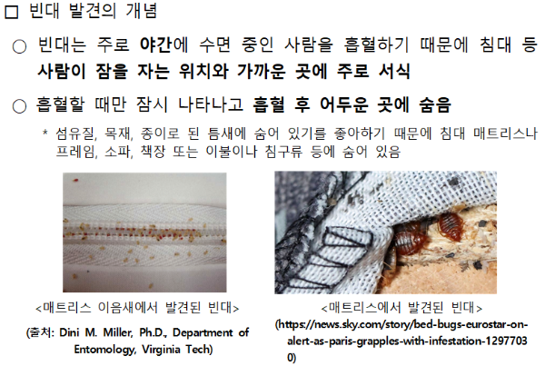 Bed Bug 빈대 물린자국 증상 찾는법 퇴치법 예방법