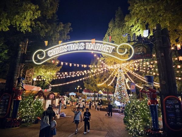 서울랜드 야경 전경 사진