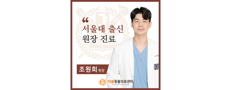 원주시 동물병원