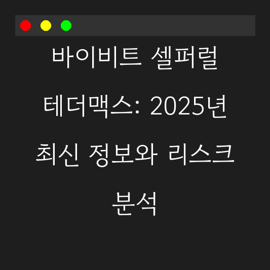 바이비트 셀퍼럴 테더맥스: 2025년 최신 정보와 리스크 분석 대표 이미지