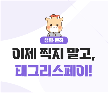태그리스 페이
