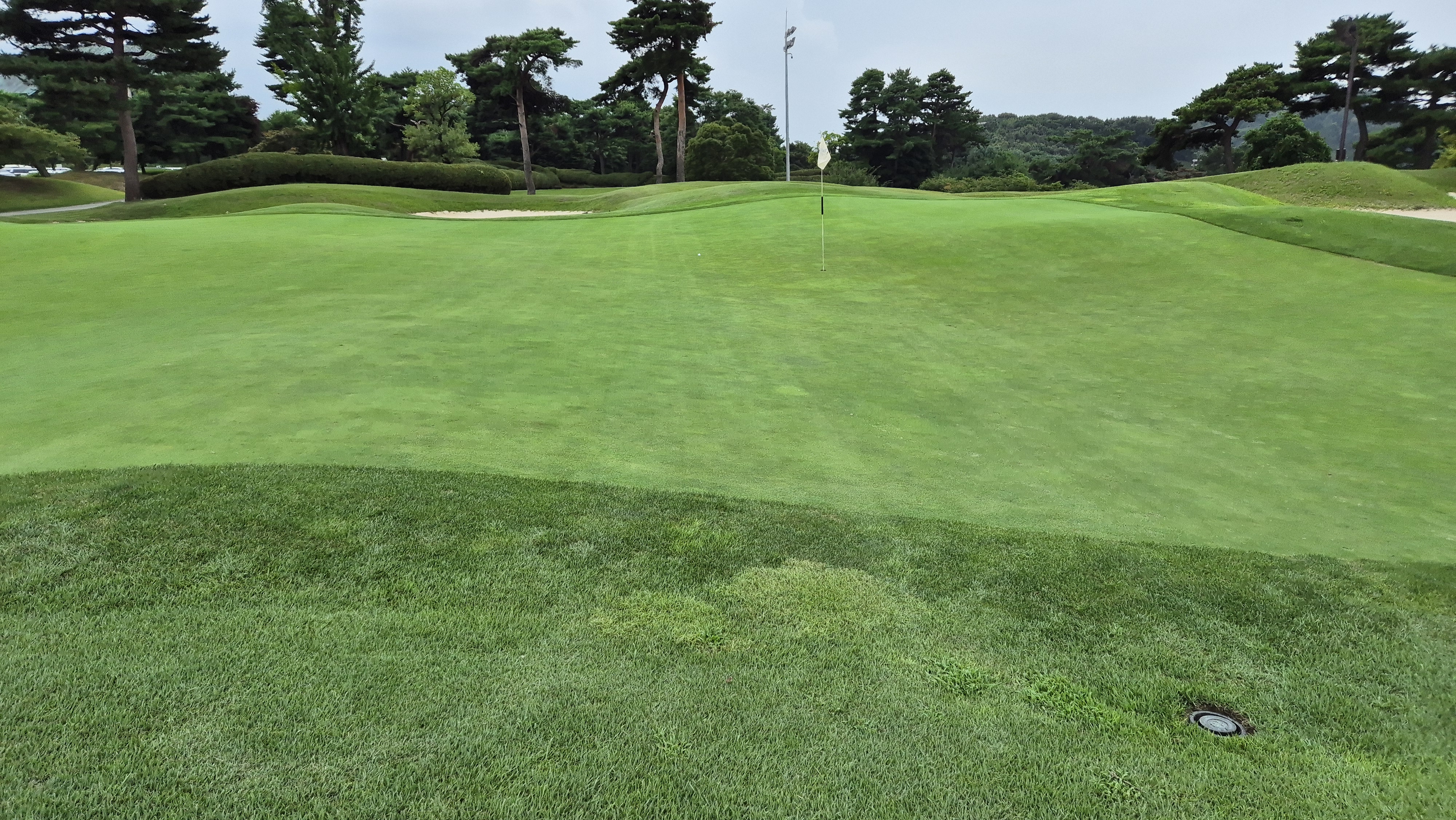 한림용인cc 다이아몬드-사파이어 코스 라운드 후기