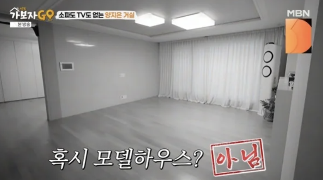 가수 양지은 강남 집