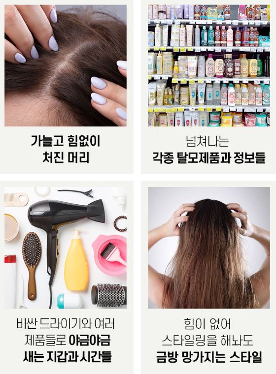 그래비티 헤어리프팅 샴푸 엑스트라 스트롱