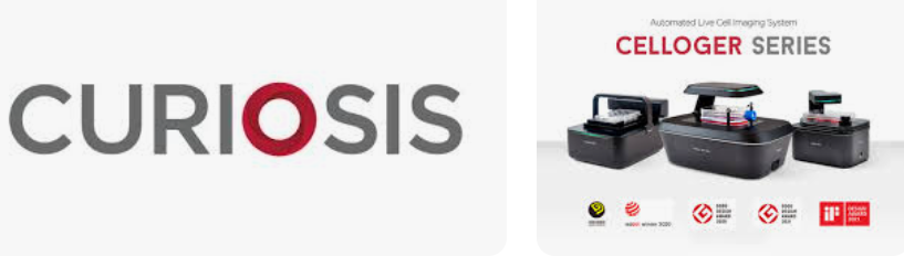 2026년 11월 신규 상장 주식 종목