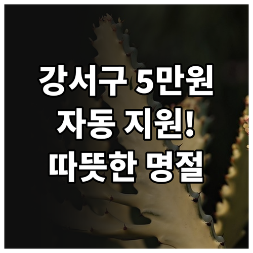 2025년 강서구 명절, 위문품비 5..