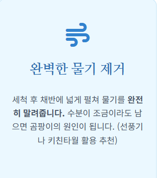 매실 장아찌 아삭하게담는법