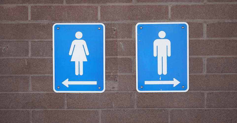 서리태 효능과 관련된 사진 - 6