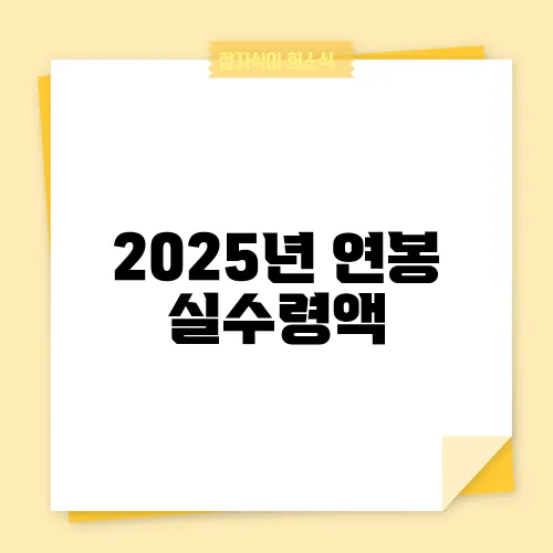 2025년 연봉 실수령액