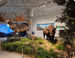 연천 구석기축제 입장료