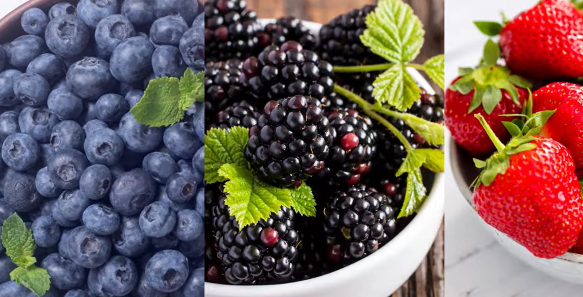 블루베리 효능 부작용