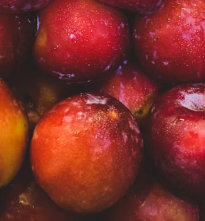 자두 효능 부작용 고르는법 칼로리