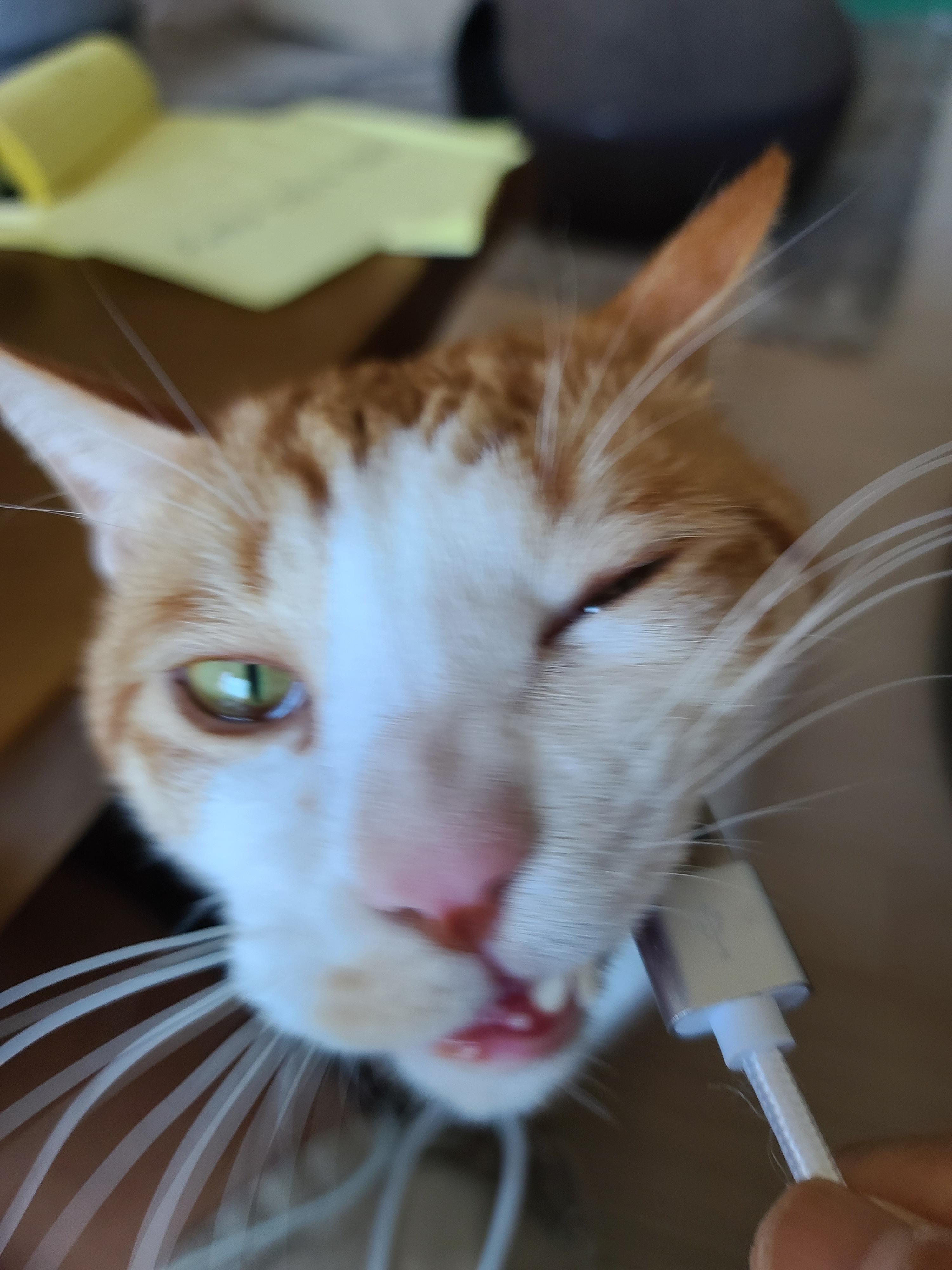 엄마손에 있는건 다 내꺼! 오랜만인 엄마랑의 오붓한 시간에 칭얼칭얼.