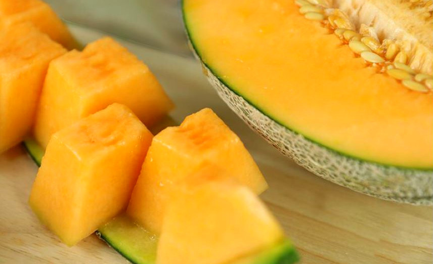 카탈로프 멜론 경북 구미 상훈이집 정보 6시 내고향 6월 3일 방송