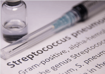 65세 이상 어르신 폐렴구균 예방접종